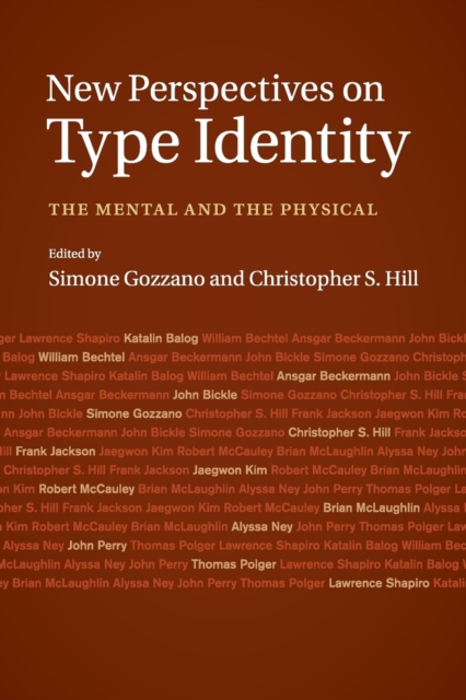 New Perspectives on Type Identity : The Mental and the Physical, Paperback / softback Book