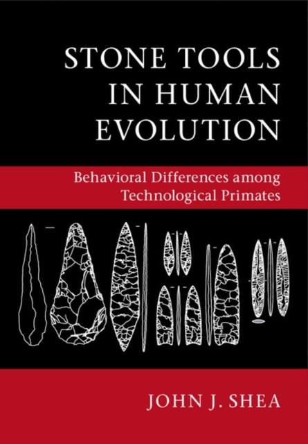 Stone Tools in Human Evolution : Behavioral Differences among Technological Primates, Paperback / softback Book