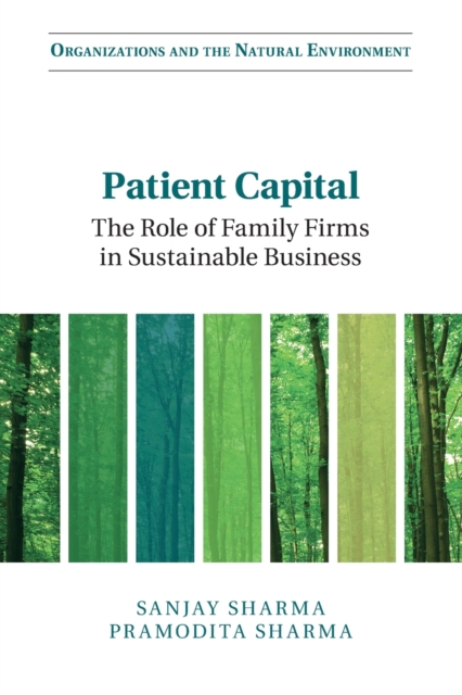 Patient Capital : The Role of Family Firms in Sustainable Business, Paperback / softback Book