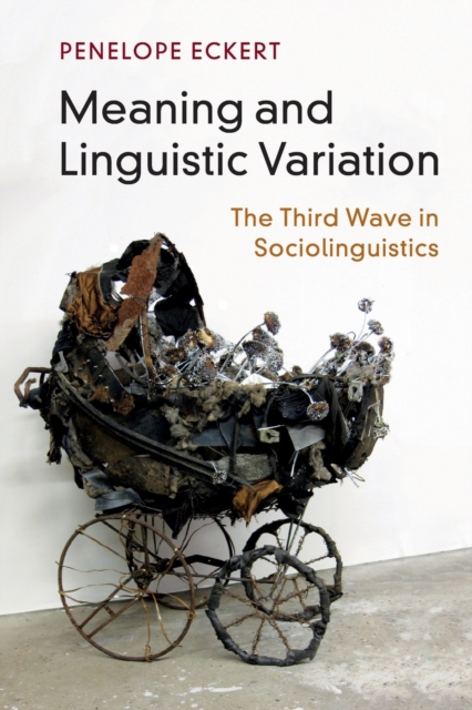 Meaning and Linguistic Variation : The Third Wave in Sociolinguistics, Paperback / softback Book