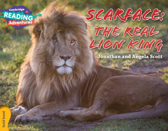Cambridge Reading Adventures Scarface: The Real Lion King Gold Band, Paperback / softback Book