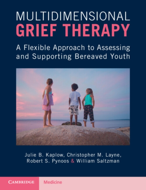 Multidimensional Grief Therapy : A Flexible Approach to Assessing and Supporting Bereaved Youth, Paperback / softback Book