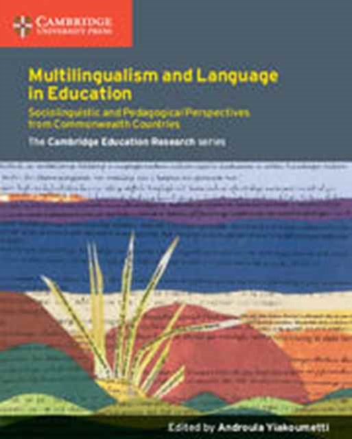 Multilingualism and Language in Education : Sociolinguistic and Pedagogical Perspectives from Commonwealth Countries, Paperback / softback Book