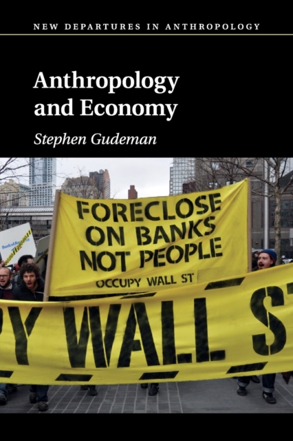 Anthropology and Economy, Paperback / softback Book