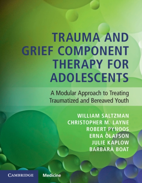 Trauma and Grief Component Therapy for Adolescents : A Modular Approach to Treating Traumatized and Bereaved Youth, Paperback / softback Book