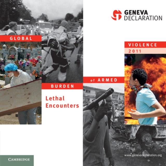 Global Burden of Armed Violence 2011 : Lethal Encounters, Paperback / softback Book