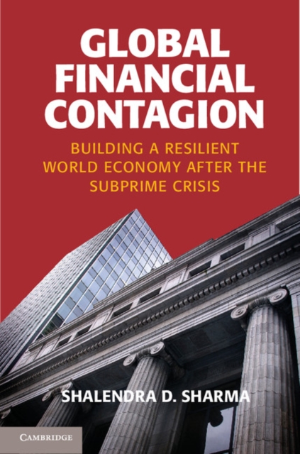Global Financial Contagion : Building a Resilient World Economy after the Subprime Crisis, Paperback / softback Book