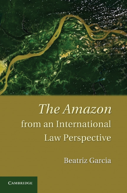 The Amazon from an International Law Perspective, Paperback / softback Book