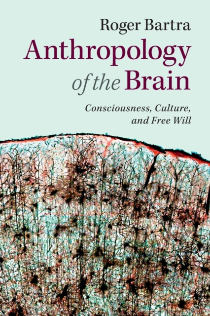 Anthropology of the Brain : Consciousness, Culture, and Free Will, Paperback / softback Book