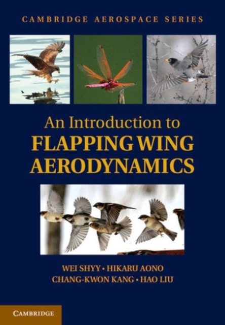 Introduction to Flapping Wing Aerodynamics, Paperback Book