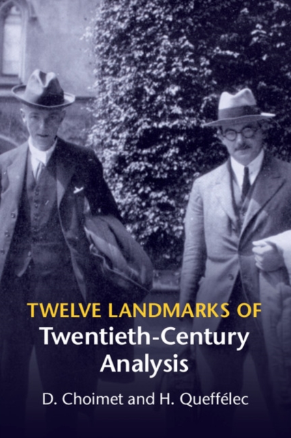 Twelve Landmarks of Twentieth-Century Analysis, Paperback / softback Book