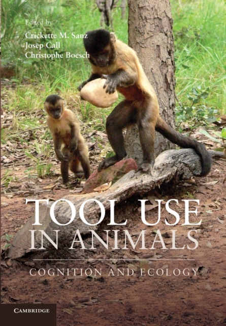 Tool Use in Animals : Cognition and Ecology, Paperback / softback Book