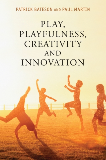 Play, Playfulness, Creativity and Innovation, Paperback / softback Book