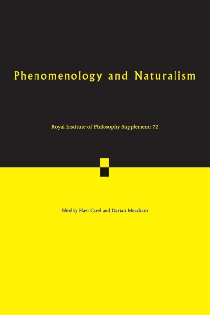 Phenomenology and Naturalism : Examining the Relationship between Human Experience and Nature, Paperback / softback Book
