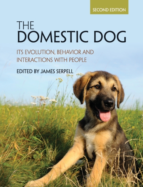The Domestic Dog : Its Evolution, Behavior and Interactions with People, Paperback / softback Book