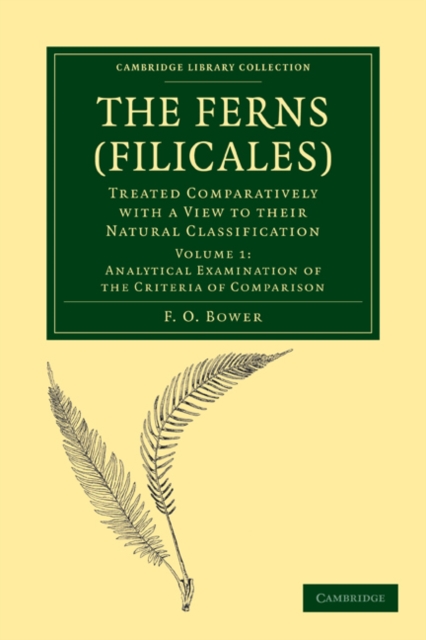 The Ferns (Filicales): Volume 1, Analytical Examination of the Criteria of Comparison : Treated Comparatively with a View to their Natural Classification, Paperback / softback Book