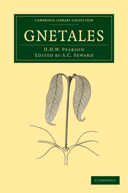 Gnetales, Paperback / softback Book