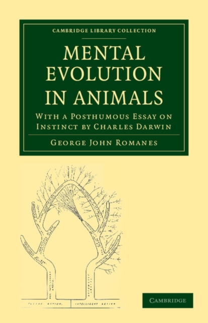 Mental Evolution in Animals : With a Posthumous Essay on Instinct by Charles Darwin, Paperback / softback Book