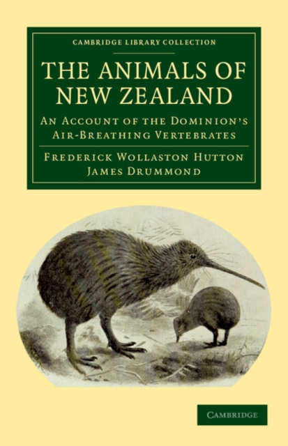 The Animals of New Zealand : An Account of the Dominion's Air-Breathing Vertebrates, Paperback / softback Book