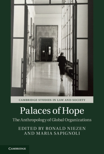 Palaces of Hope : The Anthropology of Global Organizations, EPUB eBook