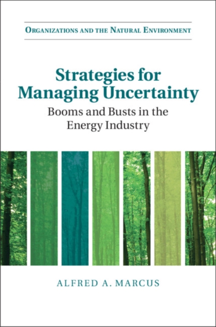 Strategies for Managing Uncertainty : Booms and Busts in the Energy Industry, EPUB eBook