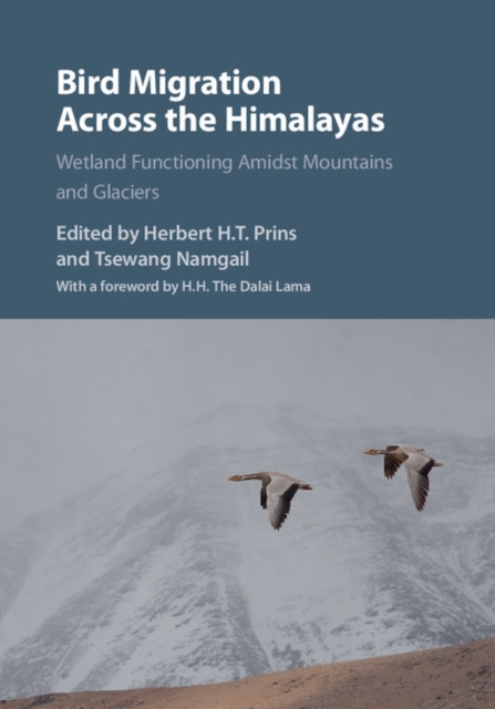 Bird Migration across the Himalayas : Wetland Functioning amidst Mountains and Glaciers, EPUB eBook