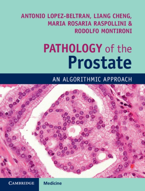 Pathology of the Prostate : An Algorithmic Approach, Multiple-component retail product Book
