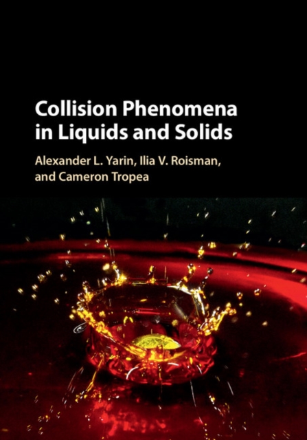 Collision Phenomena in Liquids and Solids, EPUB eBook