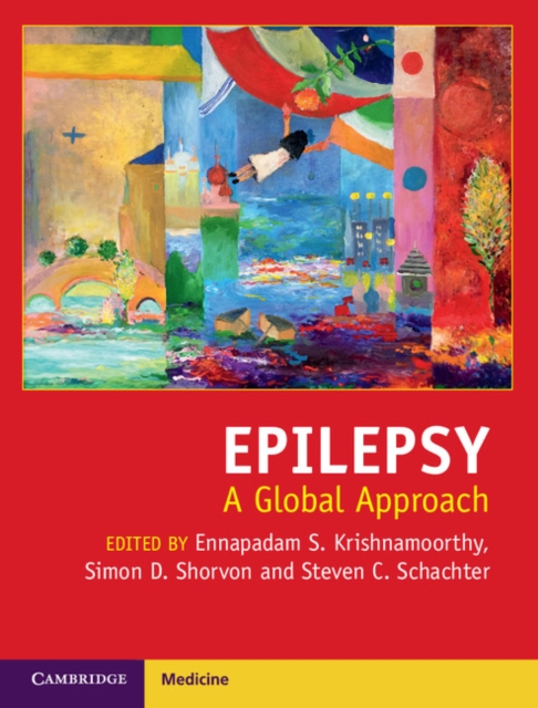 Epilepsy : A Global Approach, EPUB eBook