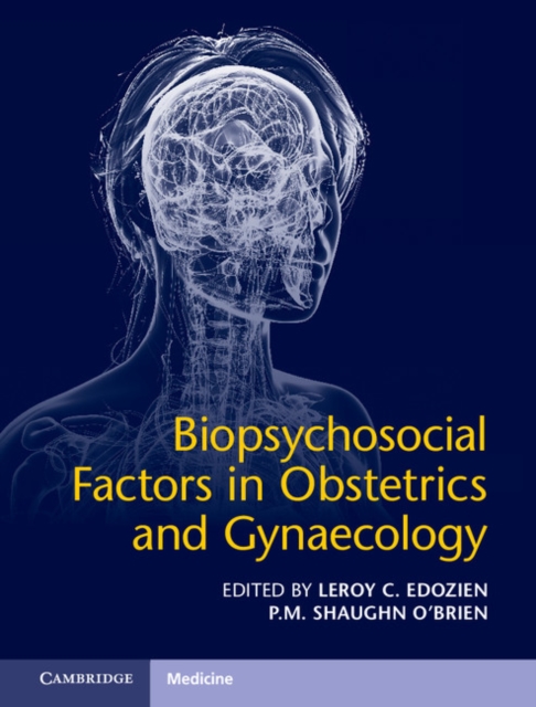 Biopsychosocial Factors in Obstetrics and Gynaecology, EPUB eBook