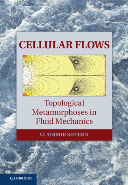 Cellular Flows : Topological Metamorphoses in Fluid Mechanics, EPUB eBook