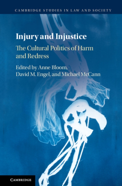 Injury and Injustice : The Cultural Politics of Harm and Redress, EPUB eBook