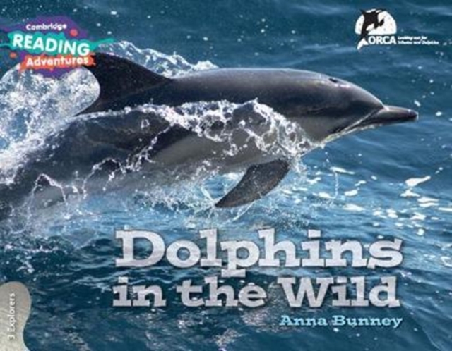 Cambridge Reading Adventures Dolphins in the Wild 3 Explorers, Paperback / softback Book