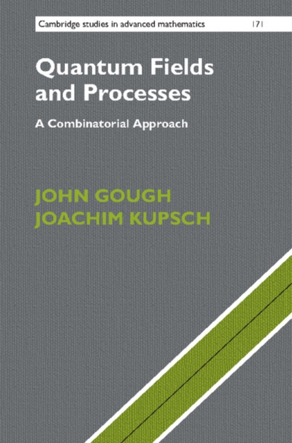 Quantum Fields and Processes : A Combinatorial Approach, Hardback Book