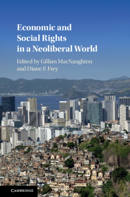Economic and Social Rights in a Neoliberal World, Hardback Book