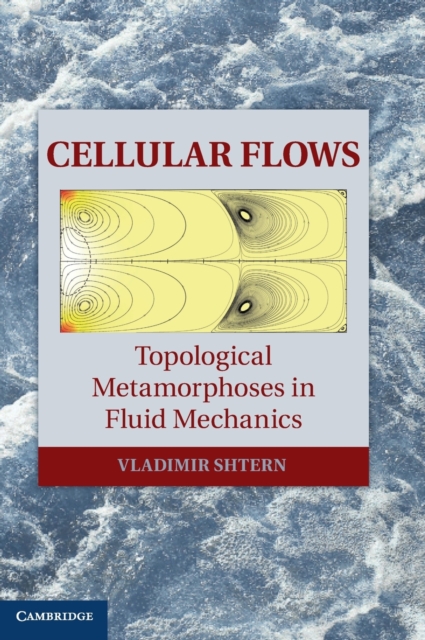 Cellular Flows : Topological Metamorphoses in Fluid Mechanics, Hardback Book