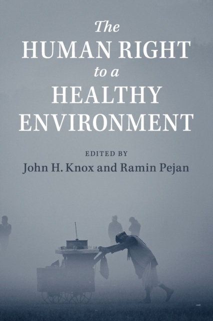 The Human Right to a Healthy Environment, Paperback / softback Book