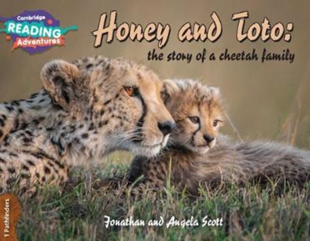 Cambridge Reading Adventures Honey and Toto: The Story of a Cheetah Family 1 Pathfinders, Paperback / softback Book