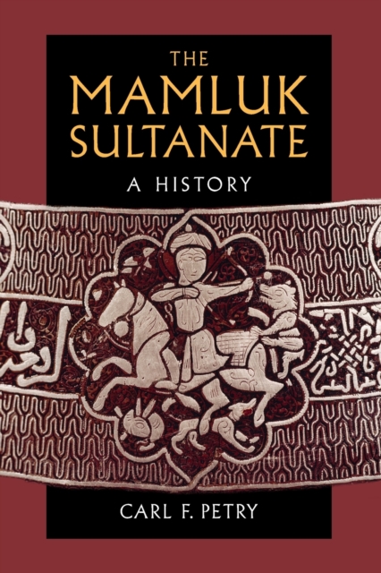 The Mamluk Sultanate : A History, Paperback / softback Book