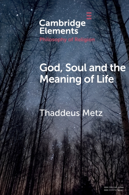 God, Soul and the Meaning of Life, Paperback / softback Book