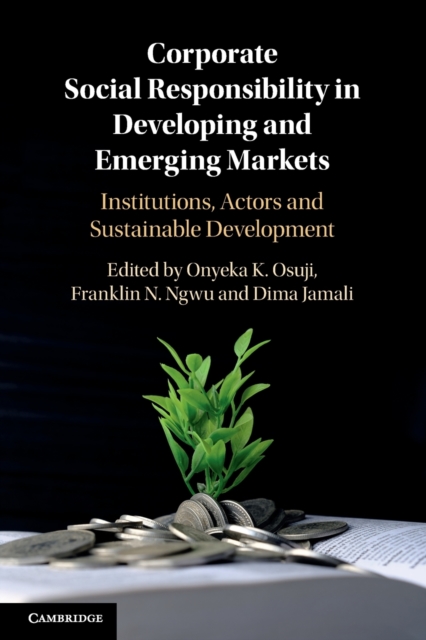 Corporate Social Responsibility in Developing and Emerging Markets : Institutions, Actors and Sustainable Development, Paperback / softback Book