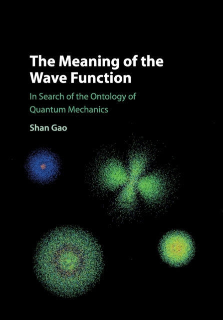 The Meaning of the Wave Function : In Search of the Ontology of Quantum Mechanics, Paperback / softback Book