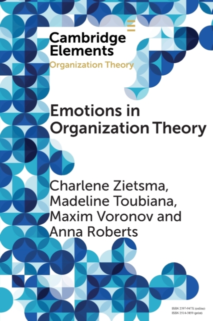 Emotions in Organization Theory, Paperback / softback Book