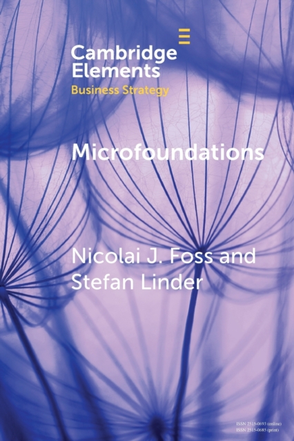 Microfoundations : Nature, Debate, and Promise, Paperback / softback Book