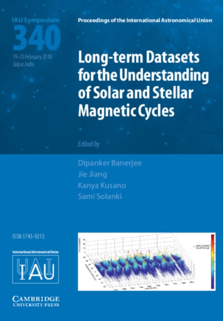 Long-term Datasets for the Understanding of Solar and Stellar Magnetic Cycles (IAU S340), Hardback Book