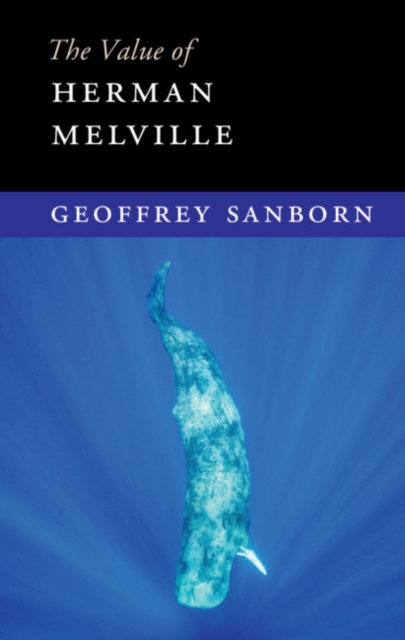 The Value of Herman Melville, Hardback Book