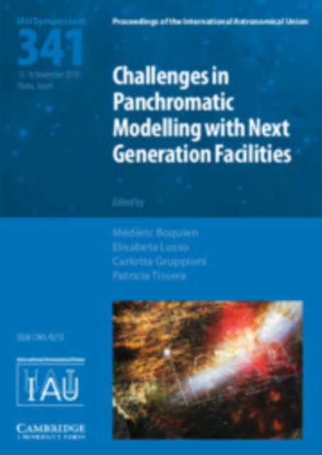 Challenges in Panchromatic Modelling with Next Generation Facilities (IAU S341), Hardback Book