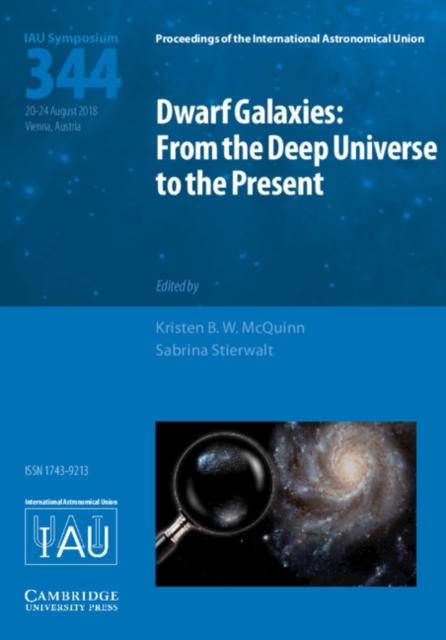 Dwarf Galaxies (IAU S344) : From the Deep Universe to the Present, Hardback Book