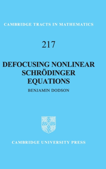 Defocusing Nonlinear Schroedinger Equations, Hardback Book