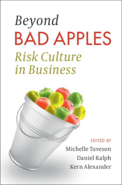Beyond Bad Apples : Risk Culture in Business, Hardback Book